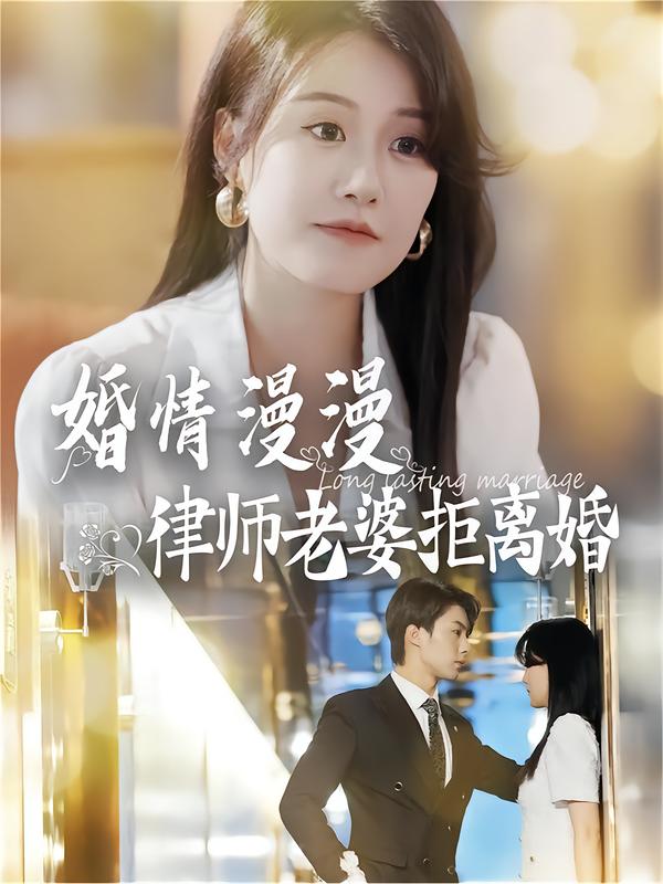 婚情漫漫：律师老婆拒离婚