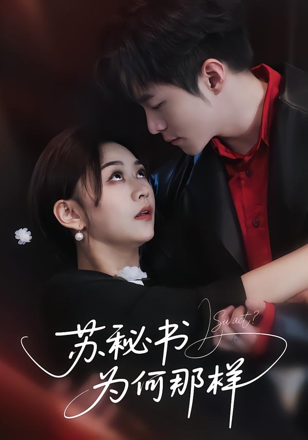 苏秘书为何那样