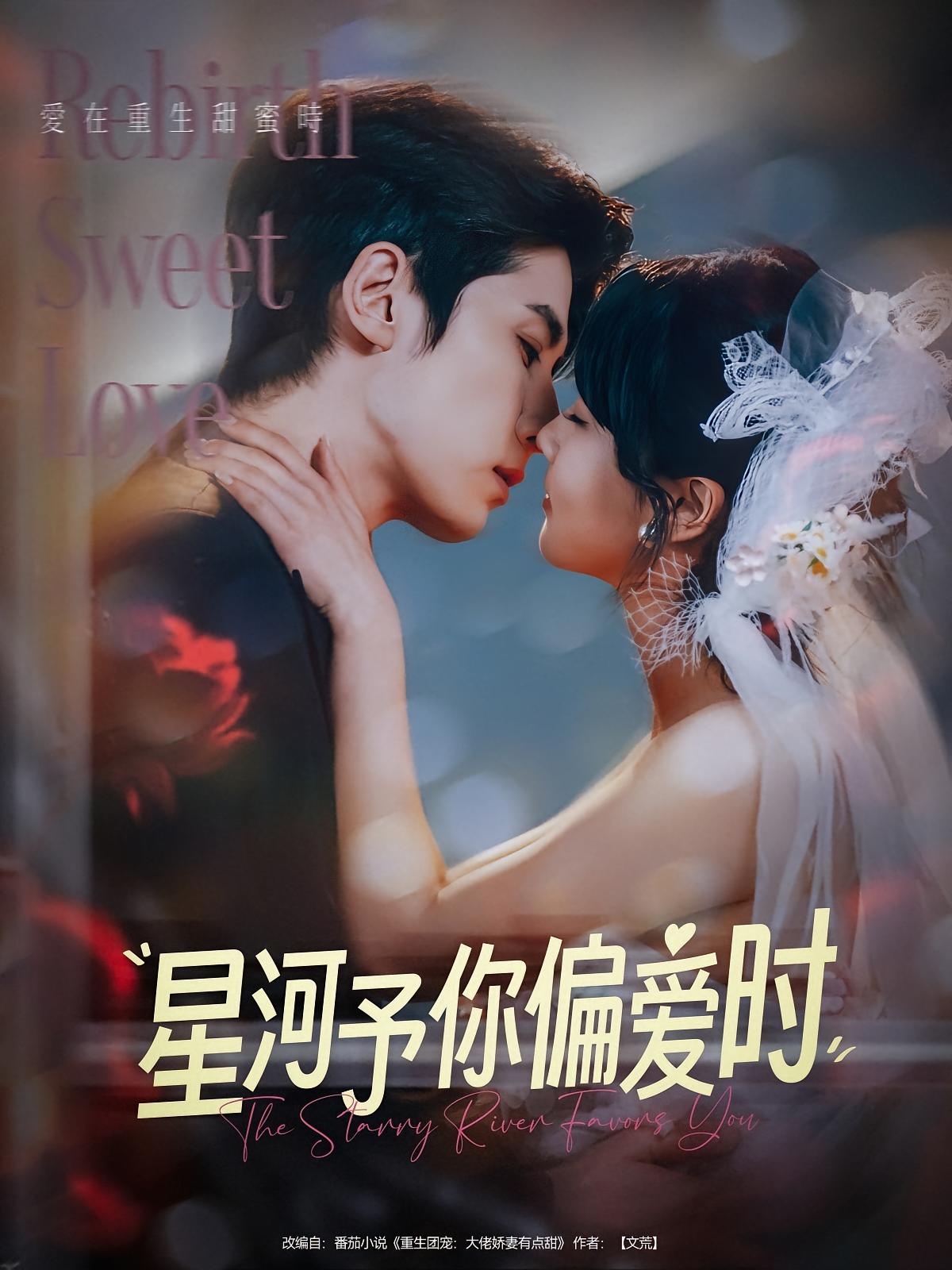 星河予你偏爱时