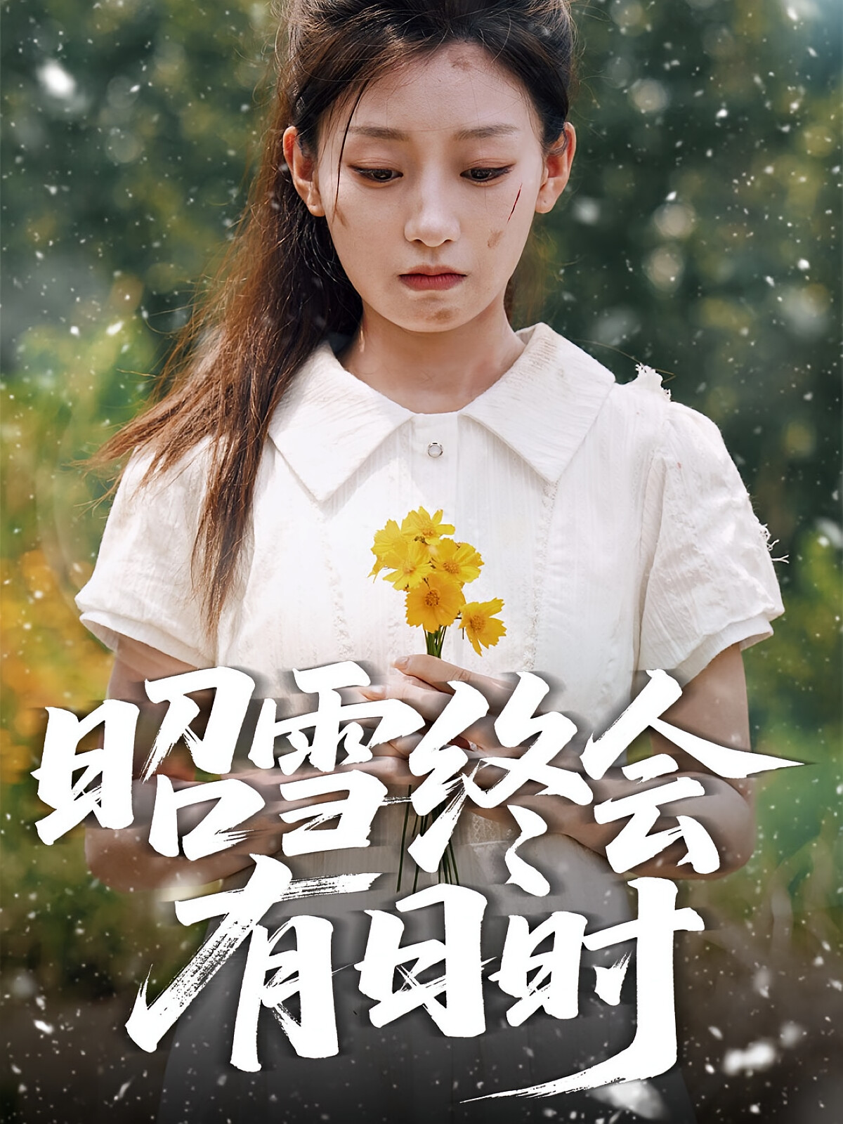 昭雪终会有日时