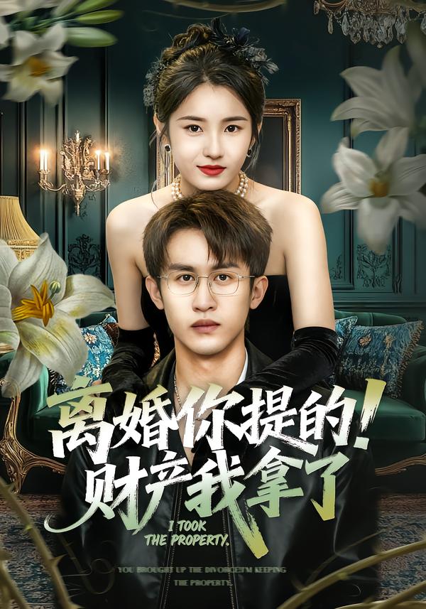 离婚你提的！财产我拿了