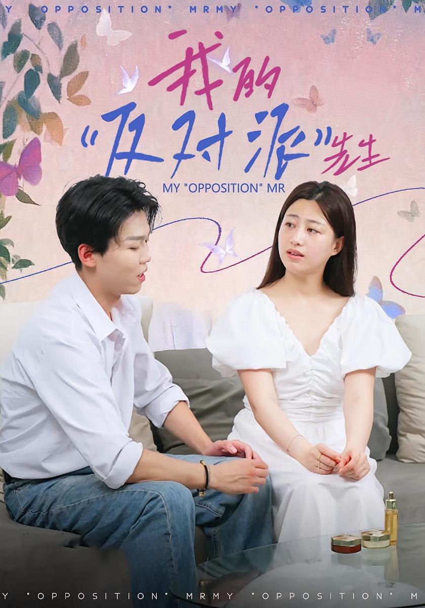 我的“反对派”先生