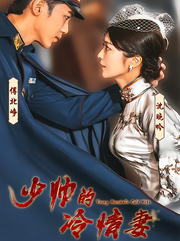 少帅的冷情妻