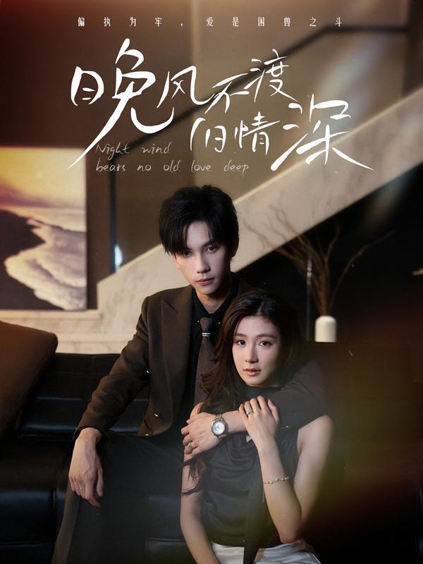 晚风不渡旧情深