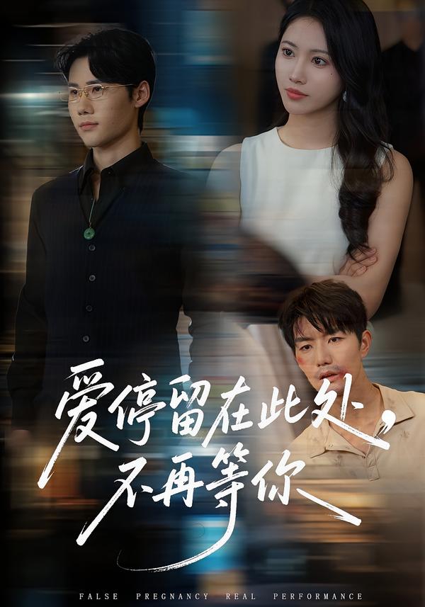 爱停留在此处，不再等你