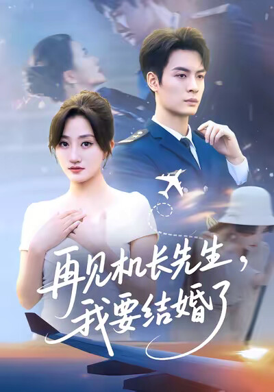 《再见机长先生,我要结婚了》剧照
