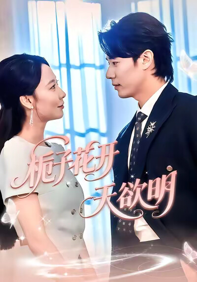 《栀子花开天欲明》剧照