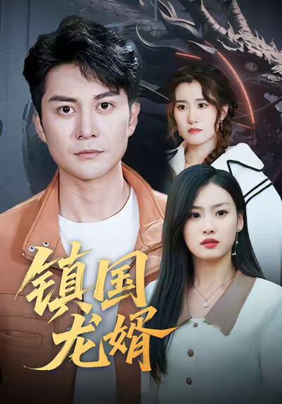 《镇国龙婿》剧照