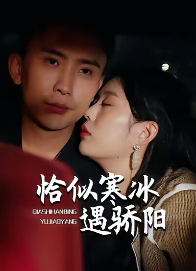 《恰似寒冰遇骄阳》剧照