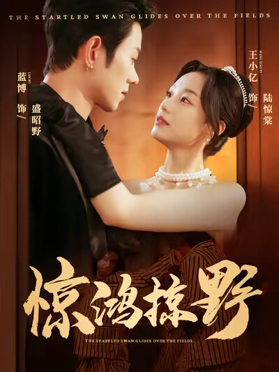 《惊鸿掠野》剧照