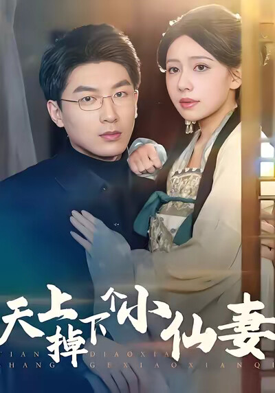 《天上掉下个小仙妻》剧照