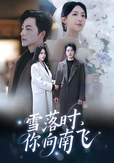 《雪落时,你向南飞》剧照