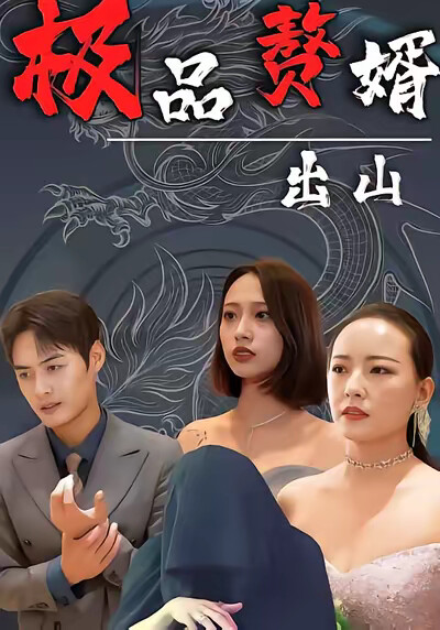 《极品赘婿出山》剧照