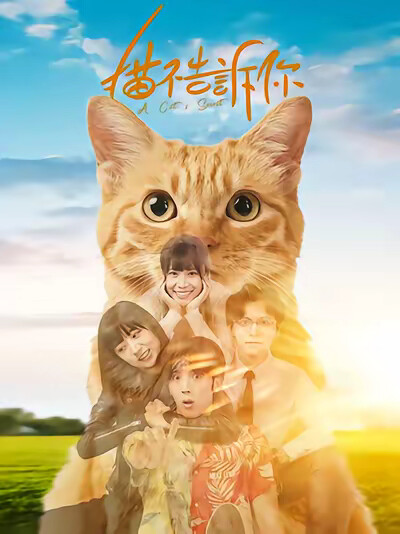 《猫不告诉你》剧照