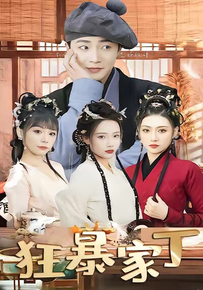 《狂暴家丁》剧照