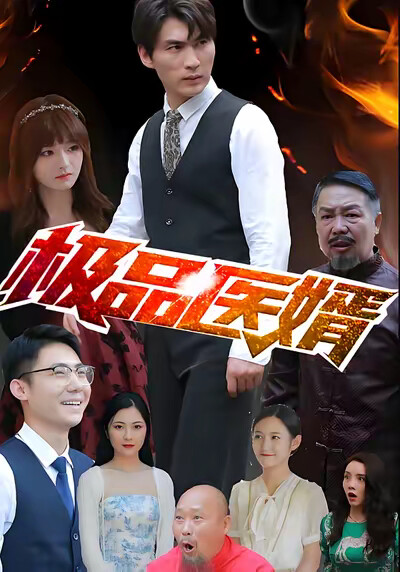 《极品医婿》剧照