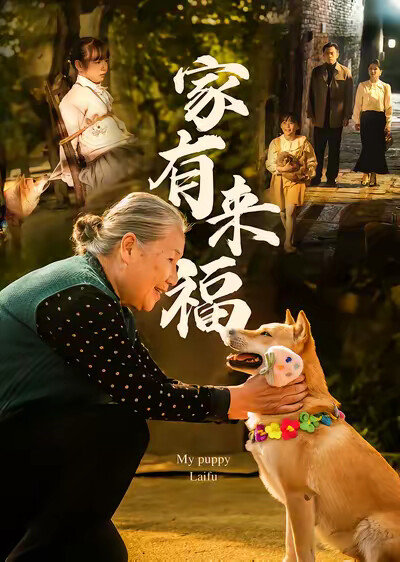 《家有来福》剧照