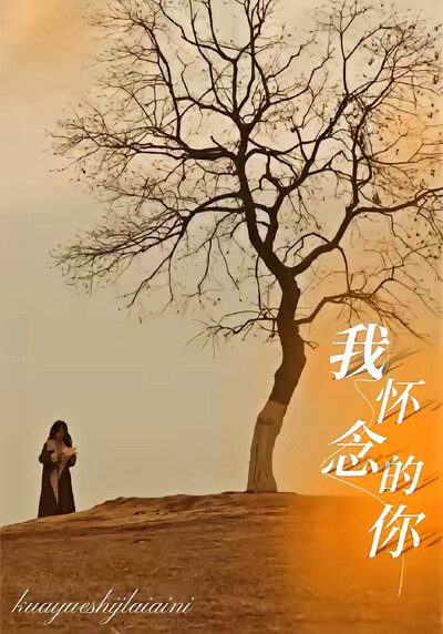 《我怀念的你》剧照