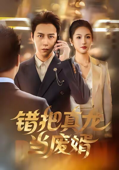 《错把真龙当废婿》剧照