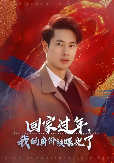 《回家过年,我的身份被曝光了》剧照