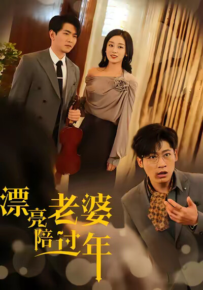 《漂亮老婆陪过年》剧照