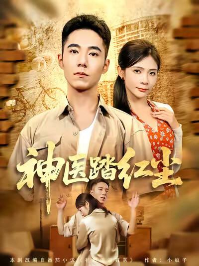 《神医踏红尘》剧照