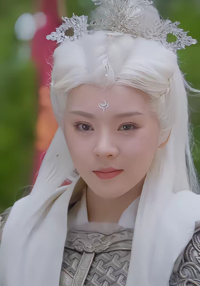 《卧虎藏龙之气吞山河》剧照