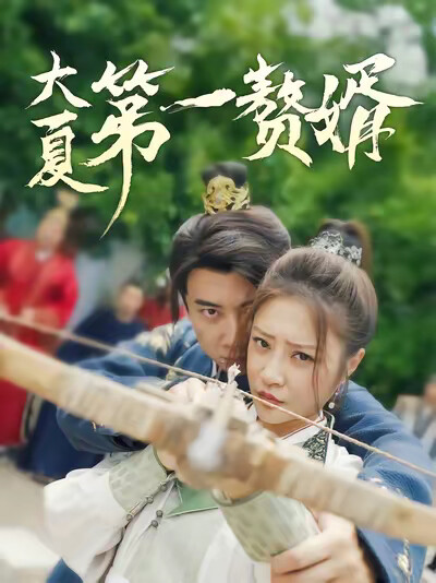 《大夏第一赘婿》剧照