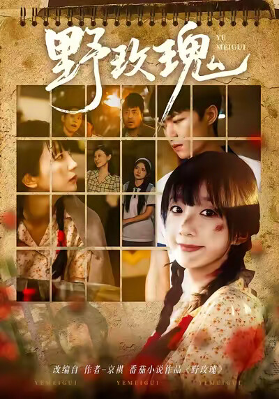 《野玫瑰》剧照