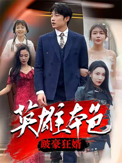 《英雄本色跛豪狂婿》剧照