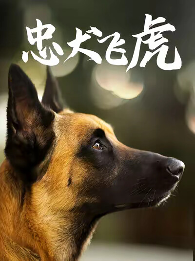 《忠犬飞虎》剧照