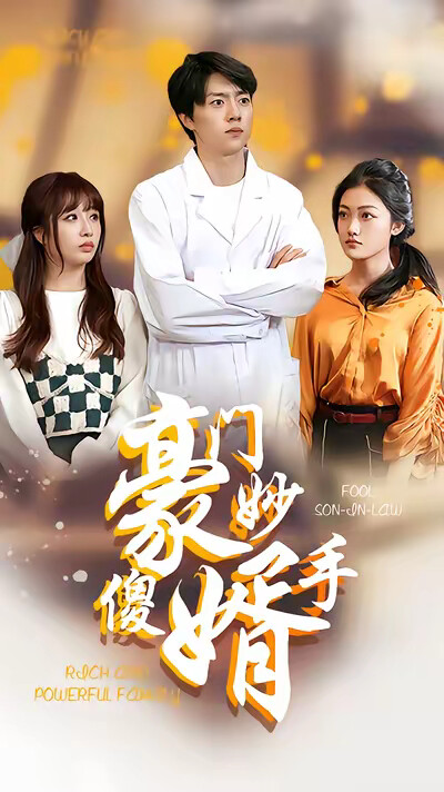 《豪门妙手傻婿》剧照