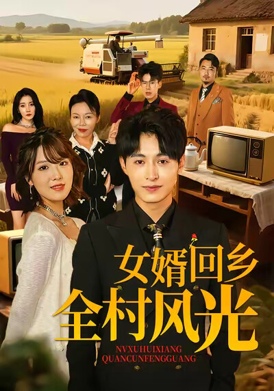 《女婿回乡全村风光》剧照