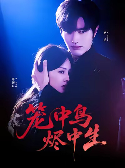 《笼中鸟,烬中生》剧照