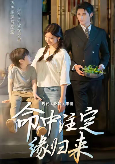 《命中注定缘归来》剧照