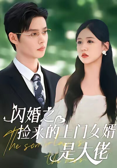 《闪婚之捡来的上门女婿是大佬》剧照