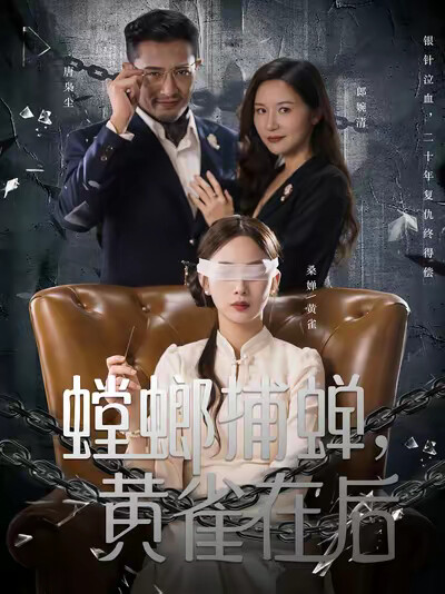 《螳螂捕蝉,黄雀在后》剧照