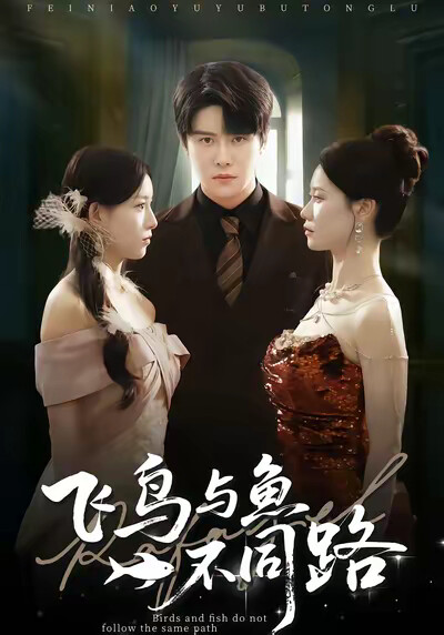 《飞鸟与鱼不同路》剧照