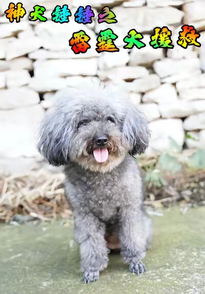 《神犬锤锤之雷霆大援救》剧照