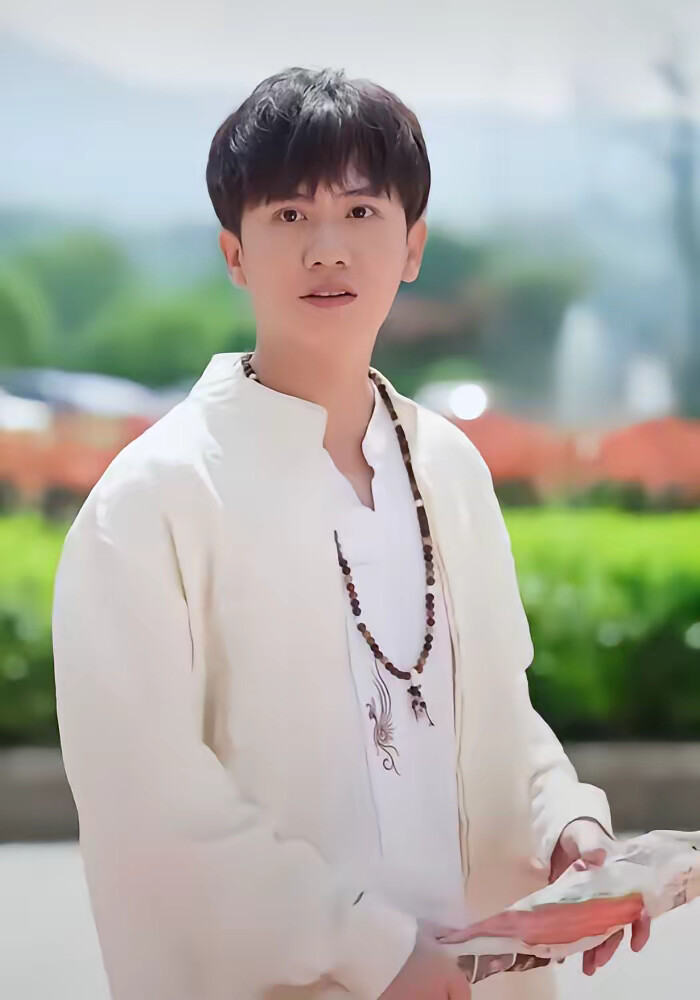 《卧虎藏龙之气吞山河》剧照