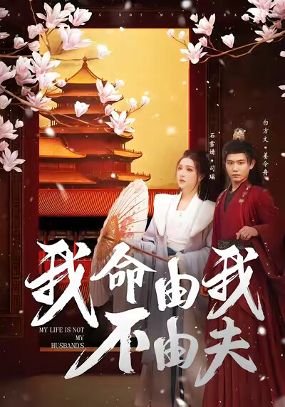 《我命由我不由夫》剧照
