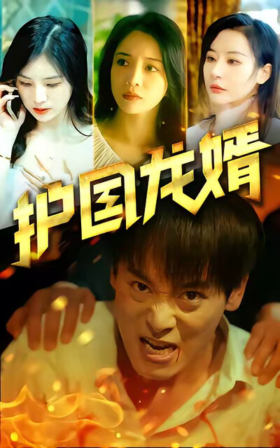 《护国龙婿》剧照