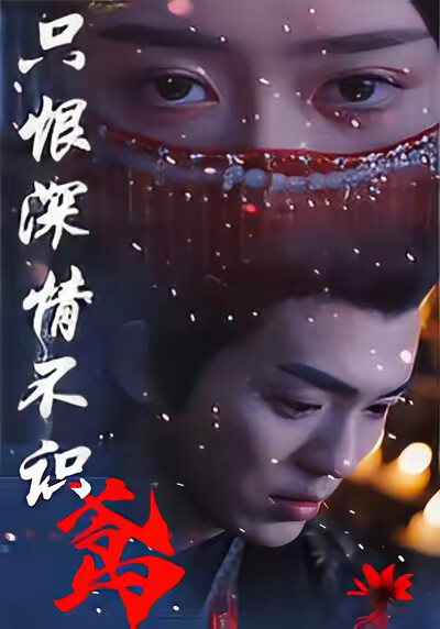 《只恨深情不识鸢》剧照