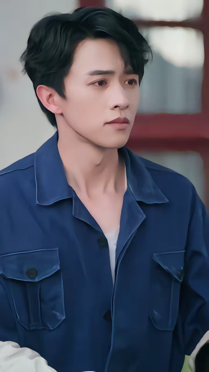 《我真的只是个兽医》剧照