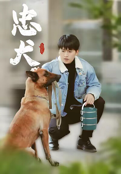 《忠犬》剧照