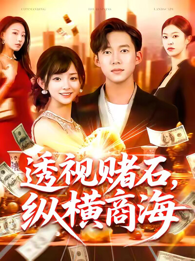 《透视赌石,纵横商海》剧照