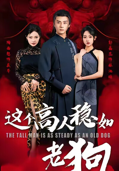 《这个高手稳如老狗》剧照