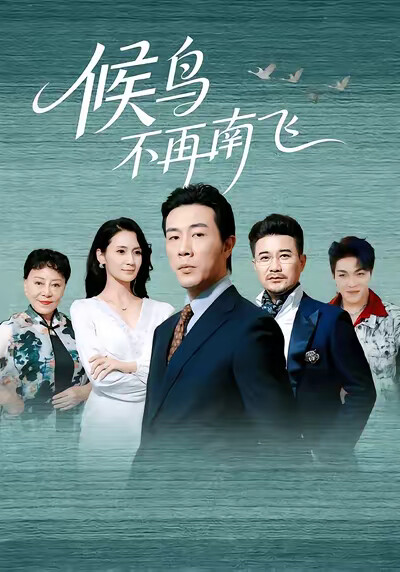 《候鸟不再南飞》剧照