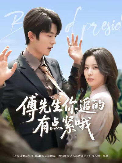 《傅先生你追的有点紧哦》剧照