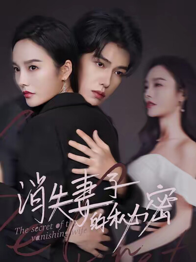 《消失妻子的秘密》剧照
